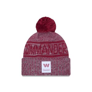 Washington Commanders 2025 Sideline Cold Weather Gray Pom Knit Hat