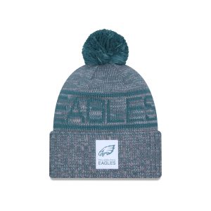 Philadelphia Eagles 2025 Sideline Cold Weather Gray Pom Knit Hat