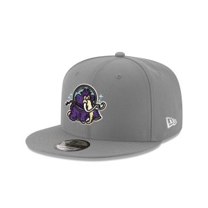 Erie Moon Mammoths Gray 9FIFTY Snapback Hat
